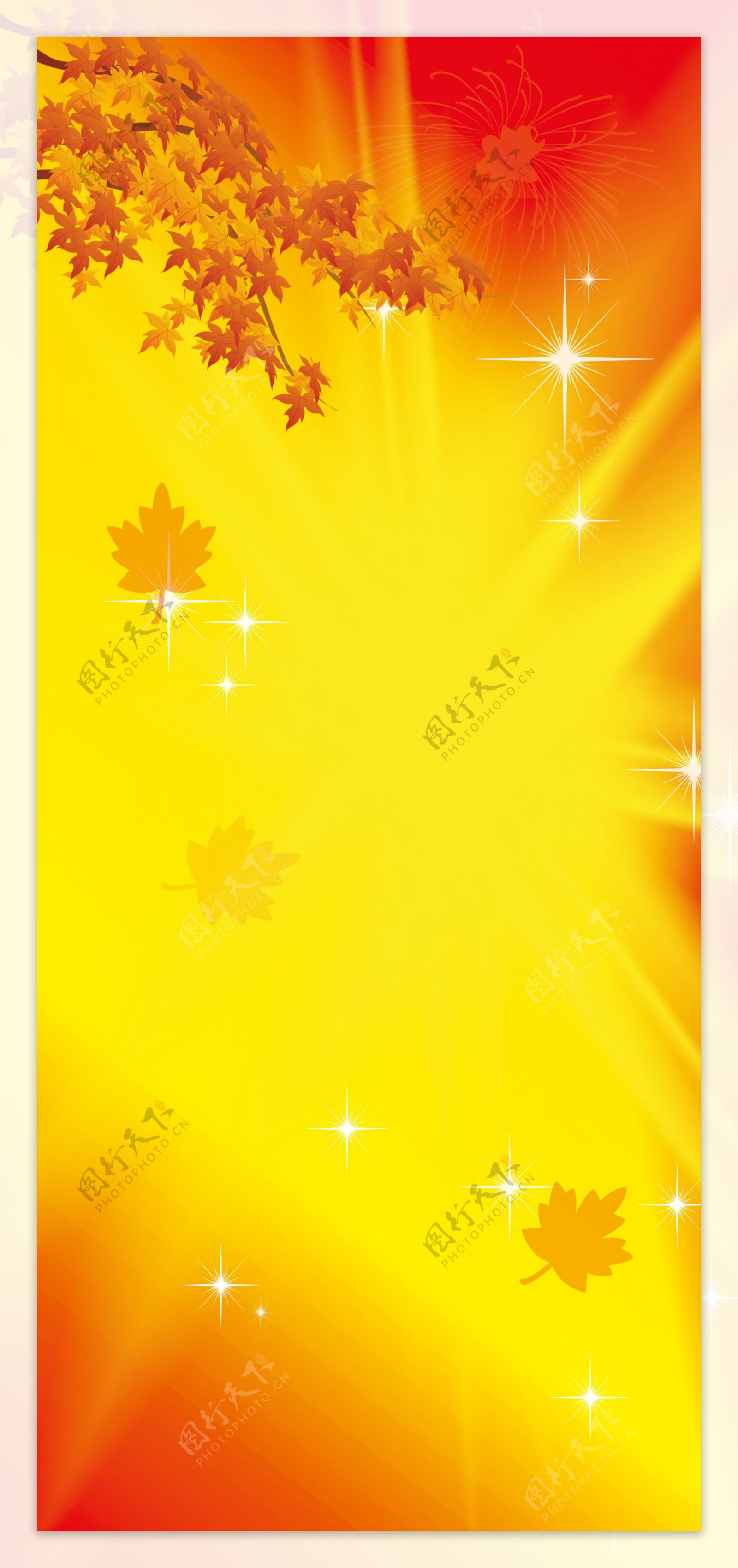 红色金黄枫叶背景素材图片