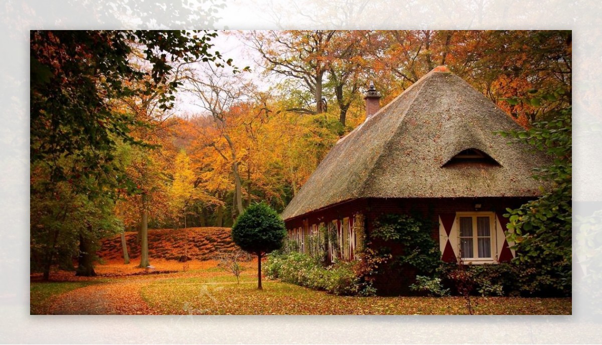 秋天的林间小屋图片