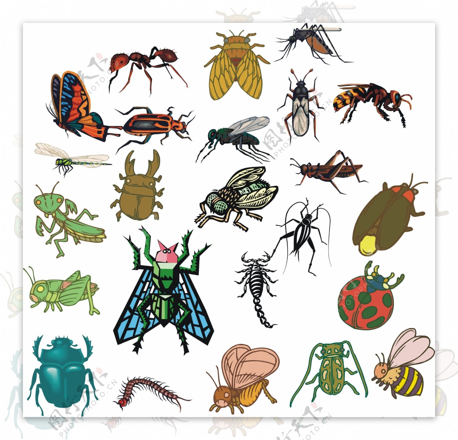 自然世界矢量昆虫图片