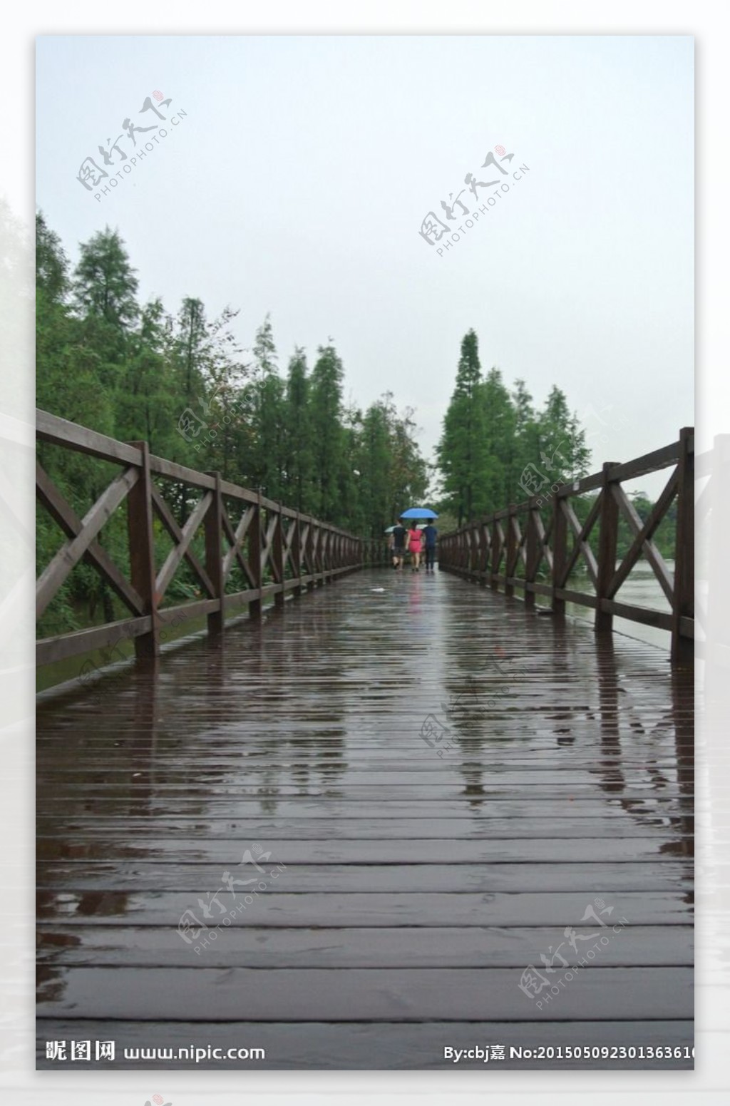 一条雨后的木桥图片