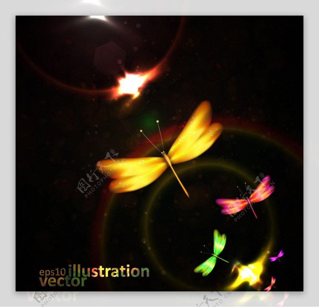 动感光线光驱蜻蜓图片