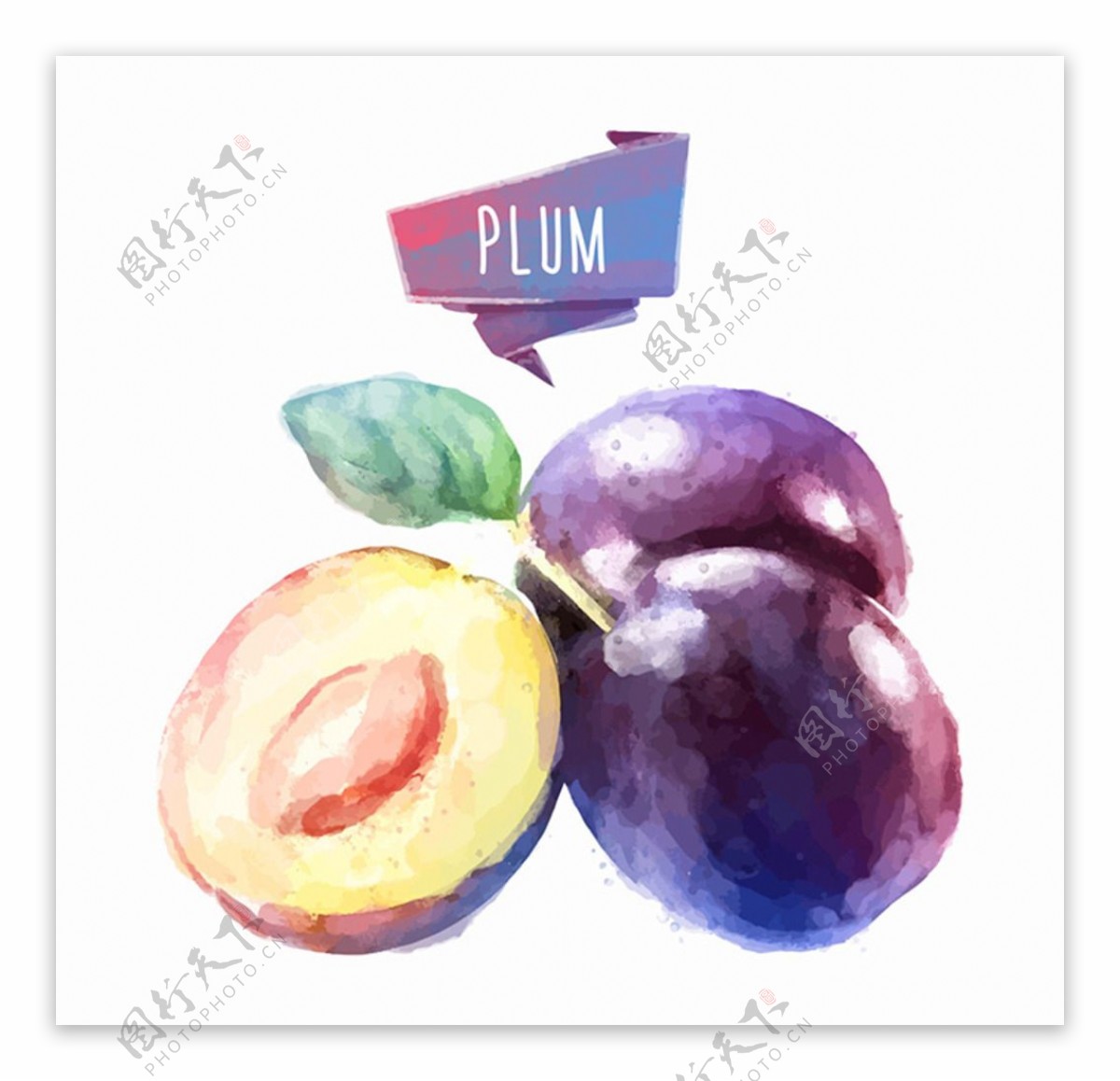 水彩水果设计图片