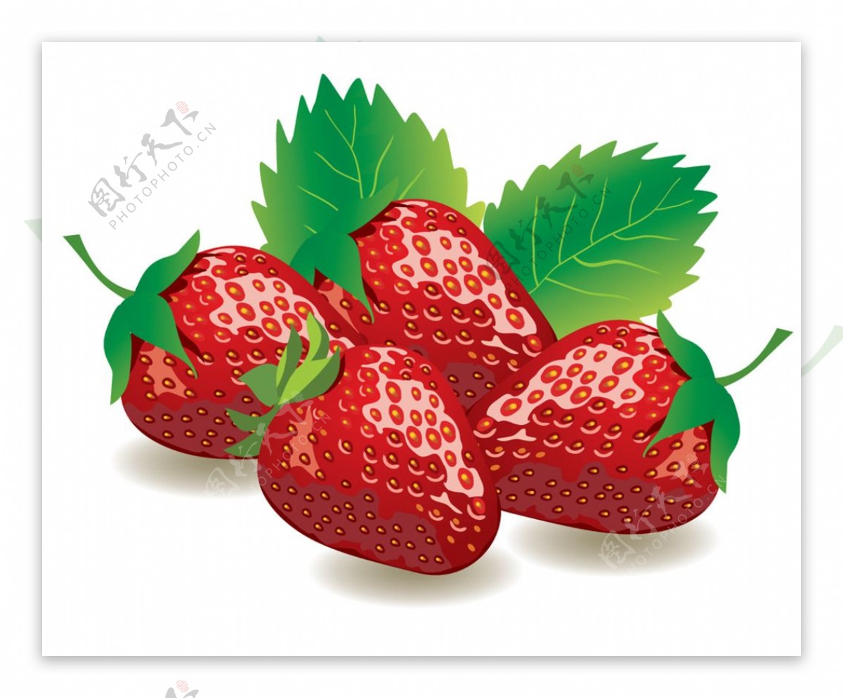 草莓矢量素材草莓图片草莓