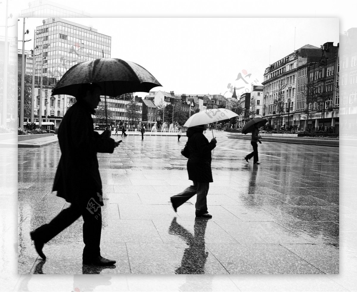 打伞过街图片