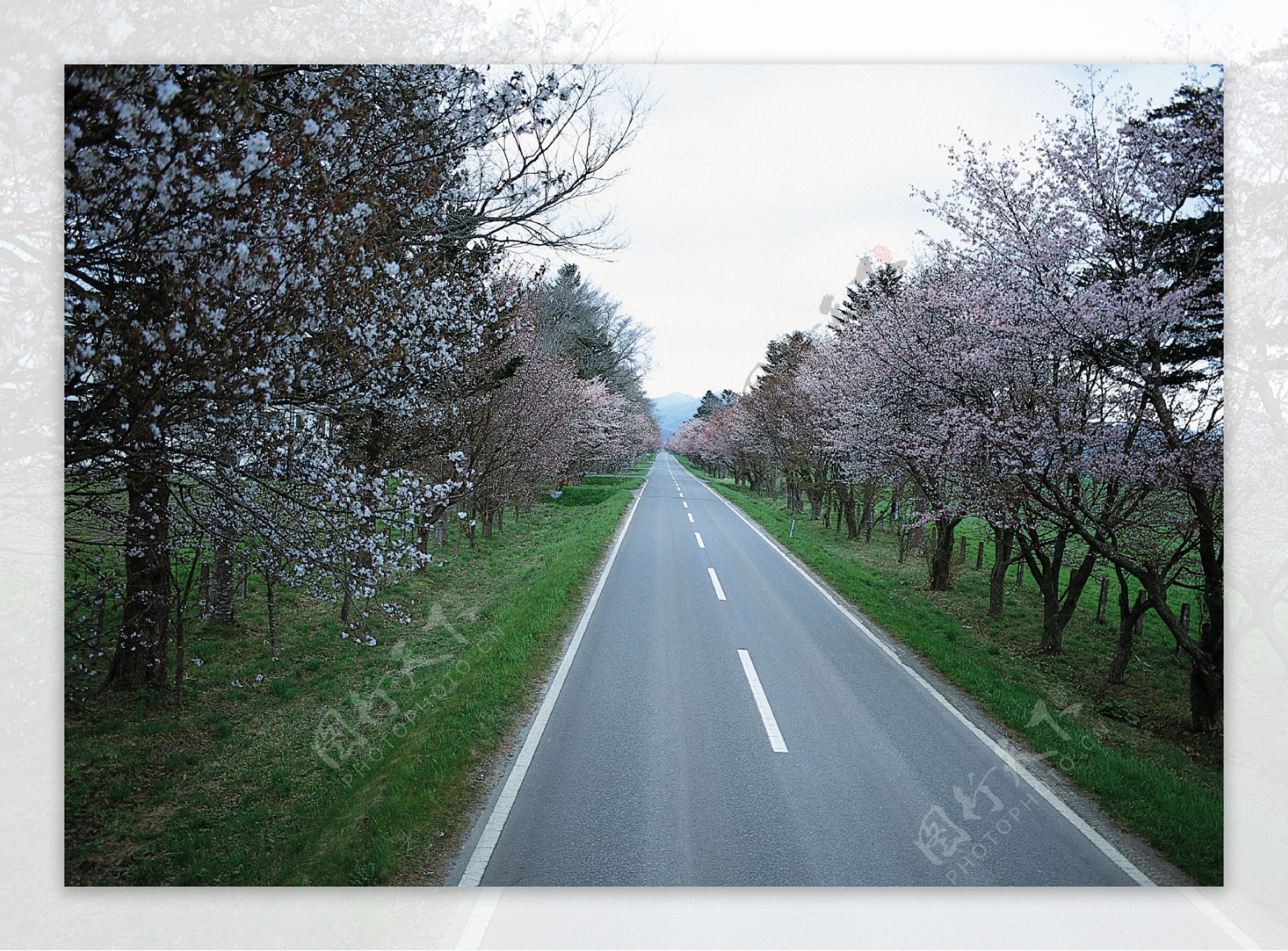 道路图片