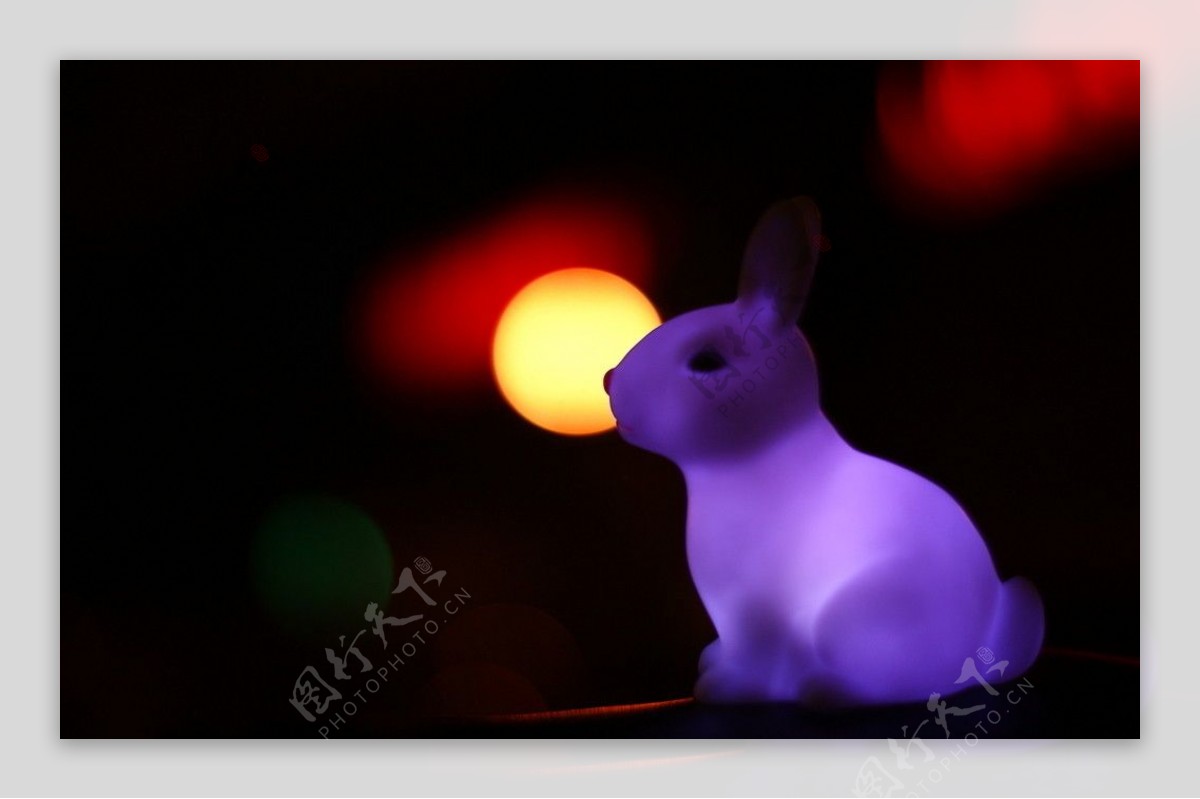 紫色兔子图片