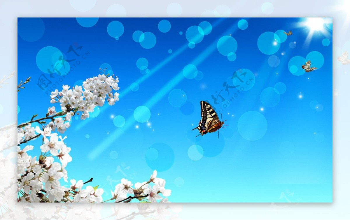 蝴蝶桃花背景素材图片
