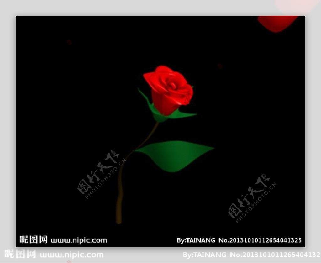 玫瑰花模型图片