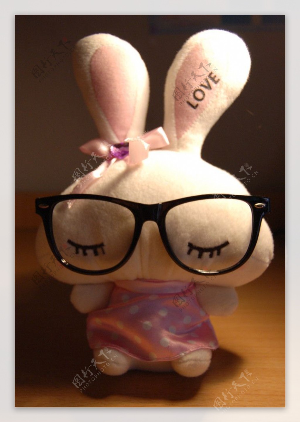 眼镜兔子图片