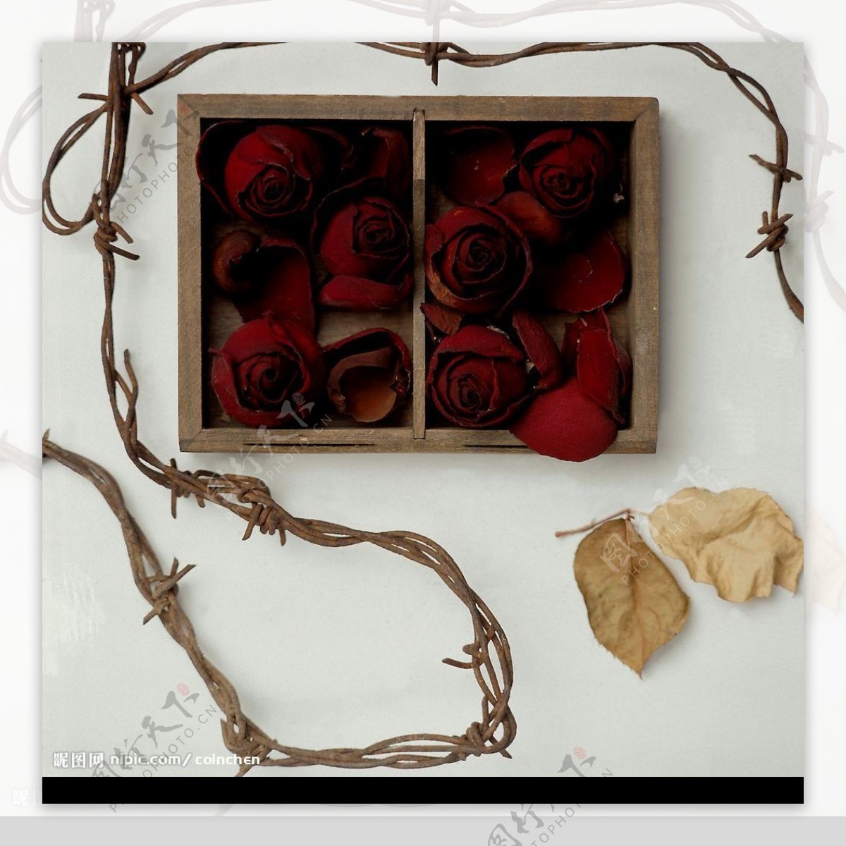 玫瑰草绳以及枯叶的美景图片
