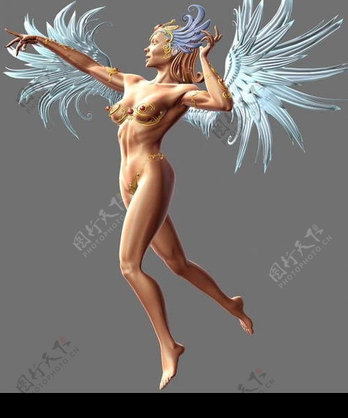 翅膀女人模型图片
