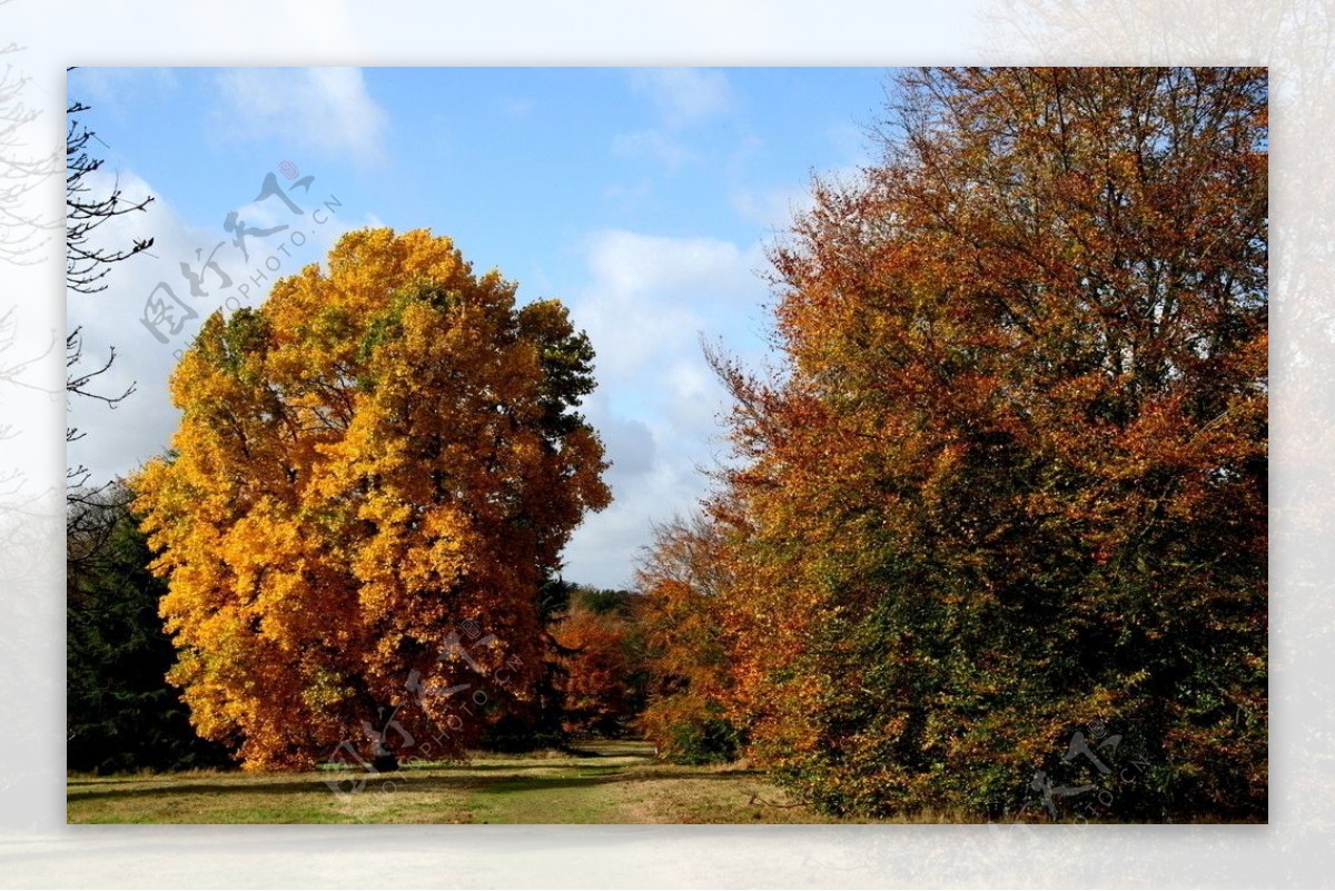 英国沃特福德卡西伯里公园秋色图片