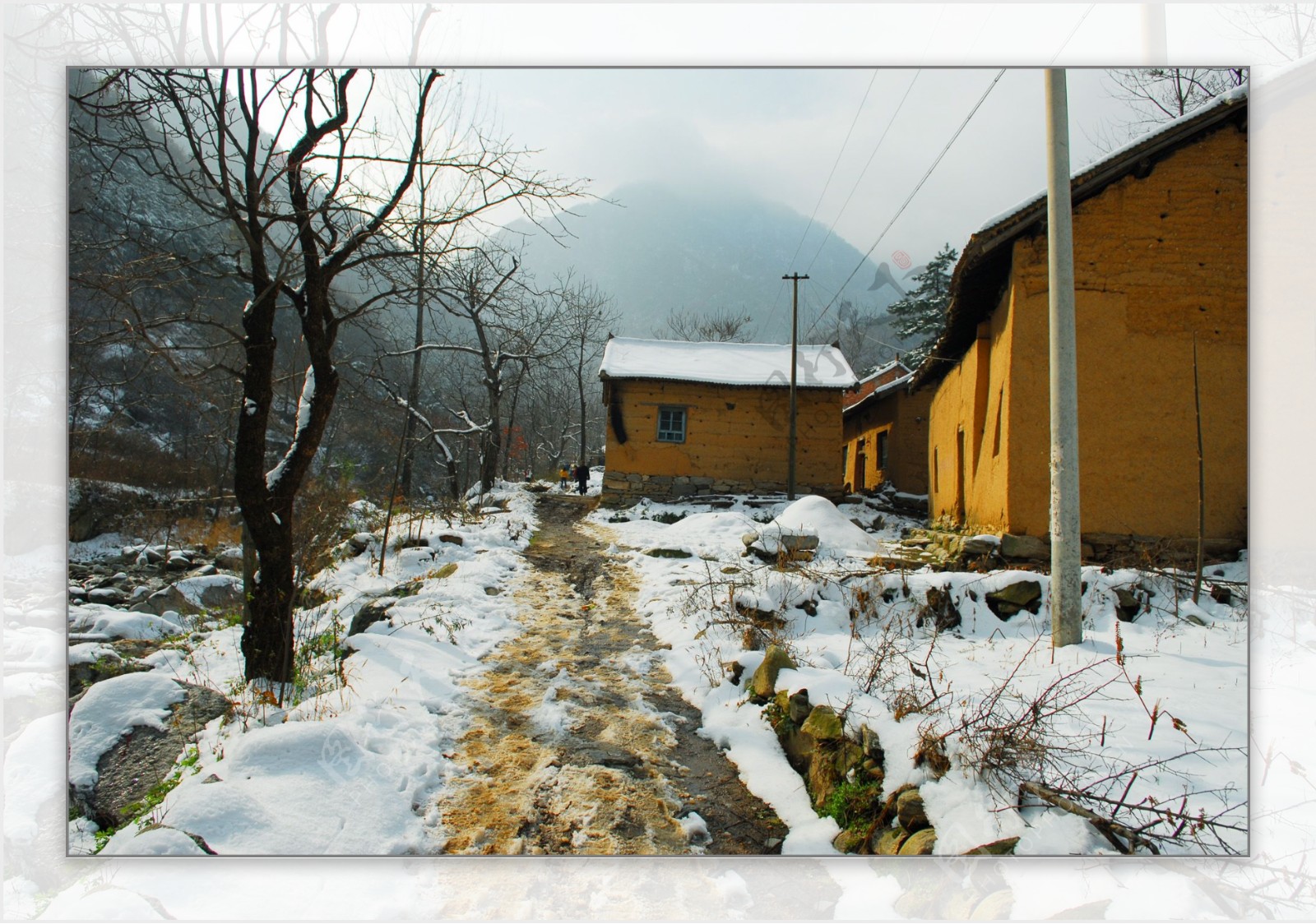 雪中农家图片