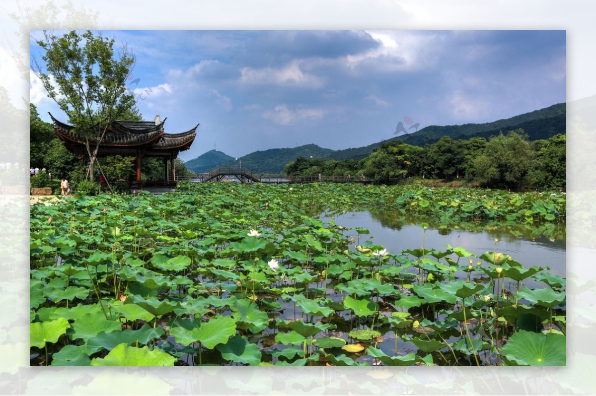 萧山湘湖图片