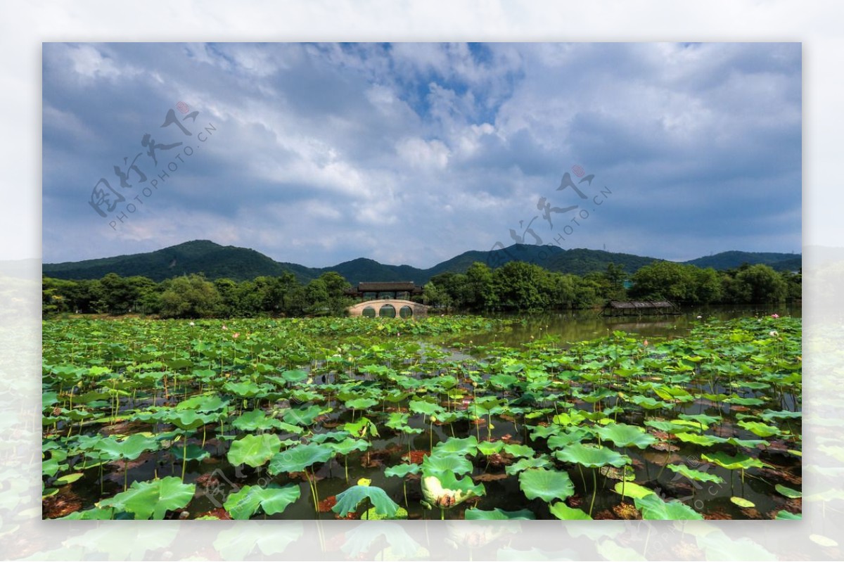 萧山湘湖图片