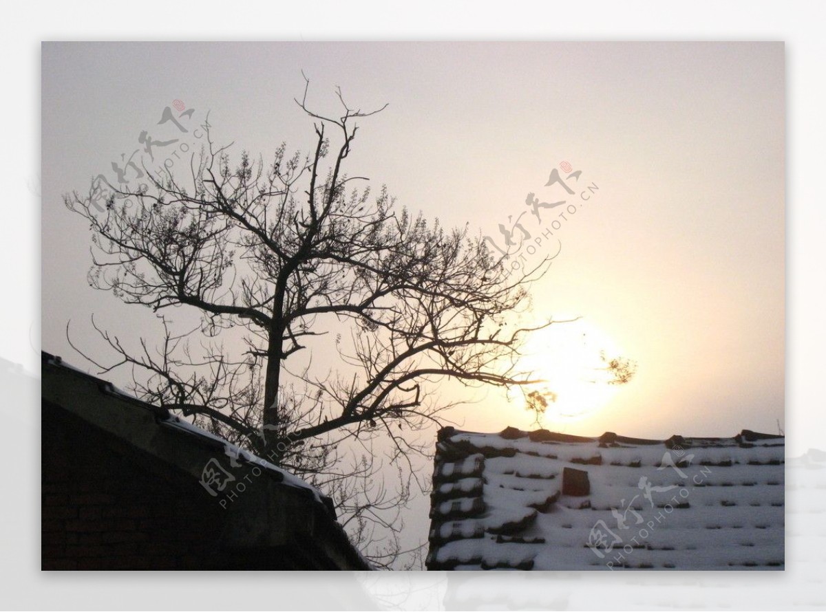 冬雪与朝阳图片