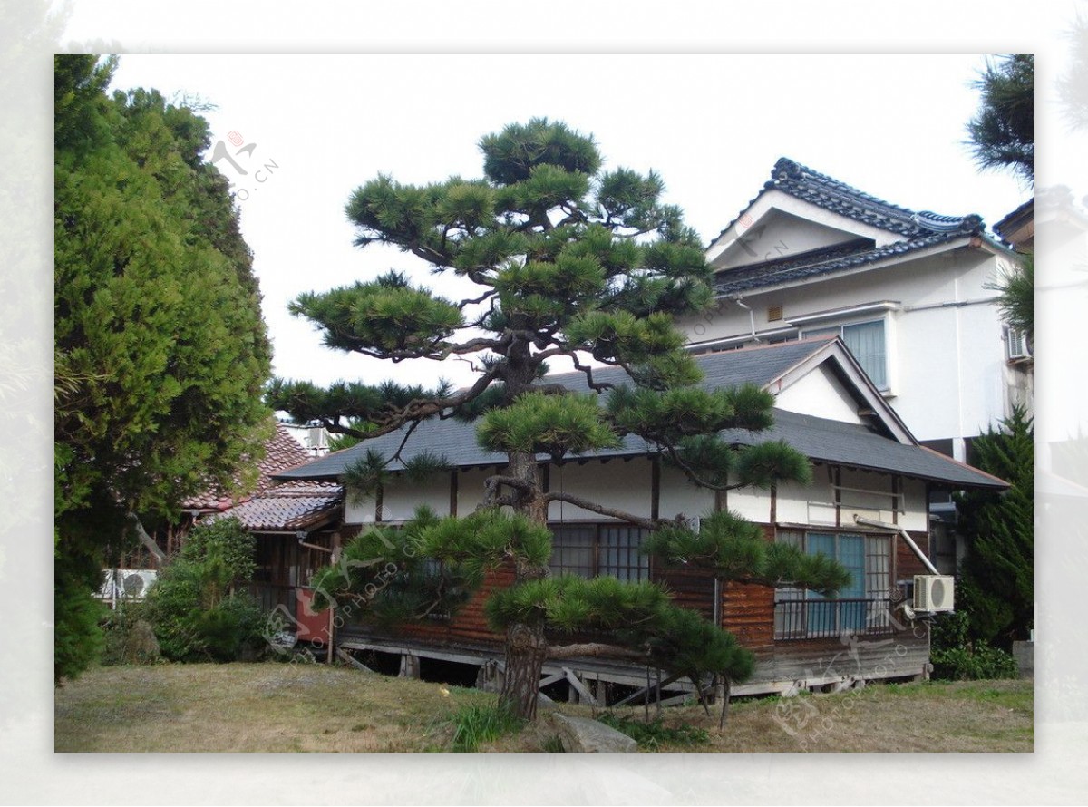 日本鸟取风光图片