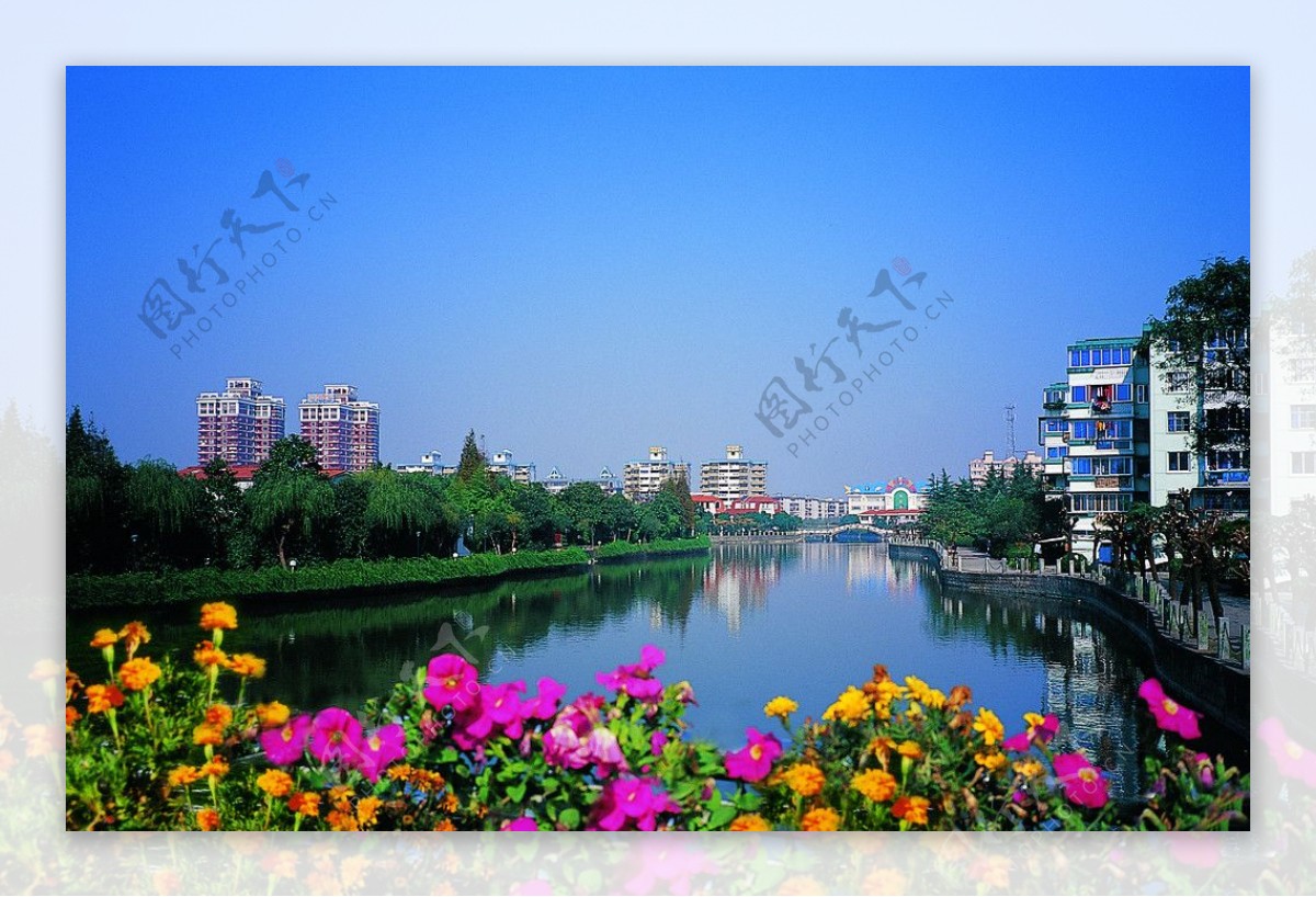宁波翠柏河图片