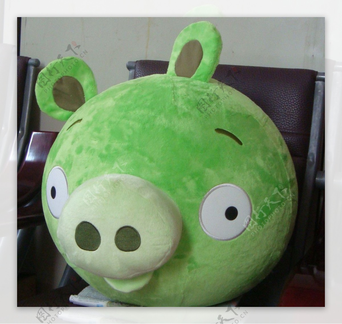 绿色小猪图片