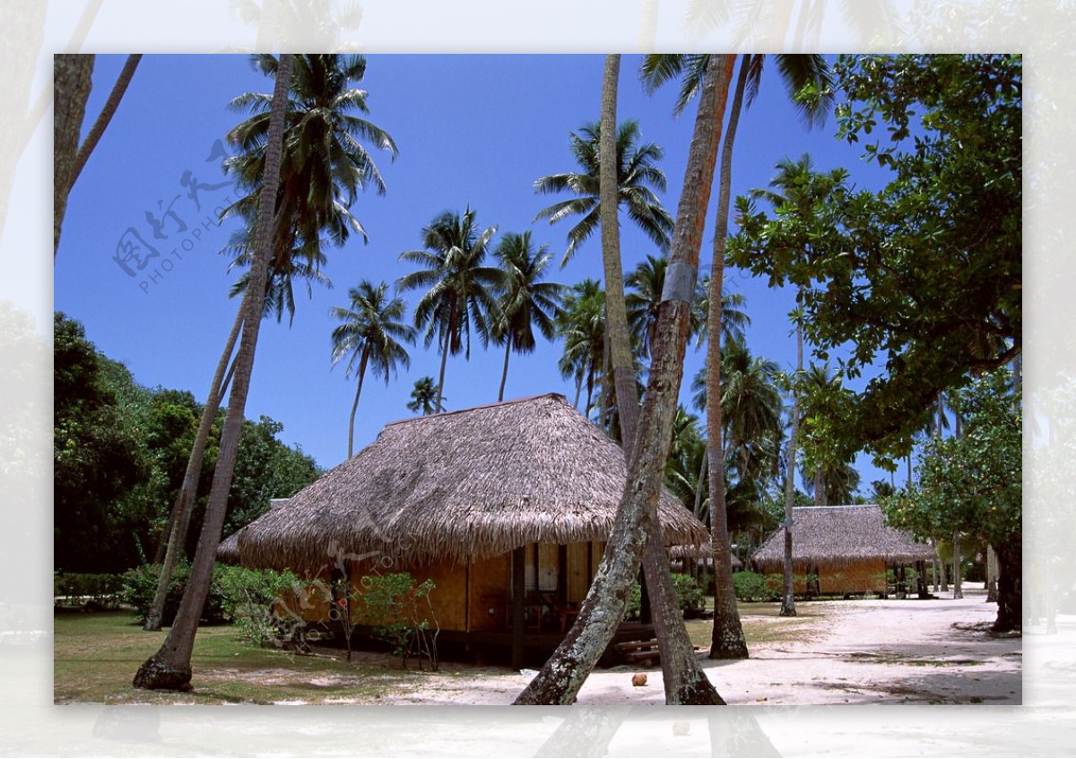 椰子树三亚建筑图片