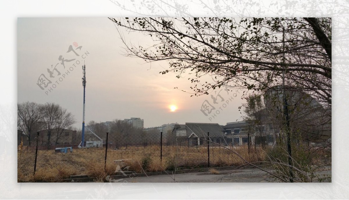 冬天早晨的日出图片