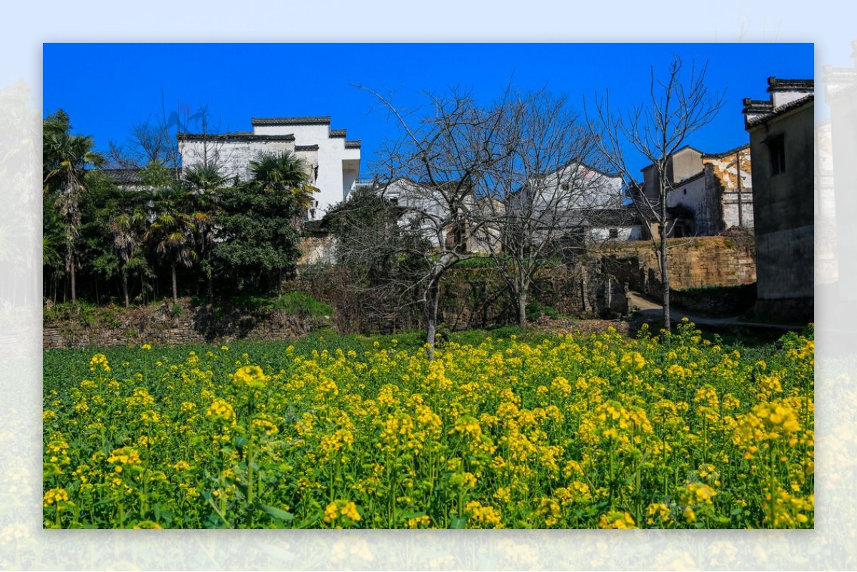 新安江山水画廊图片