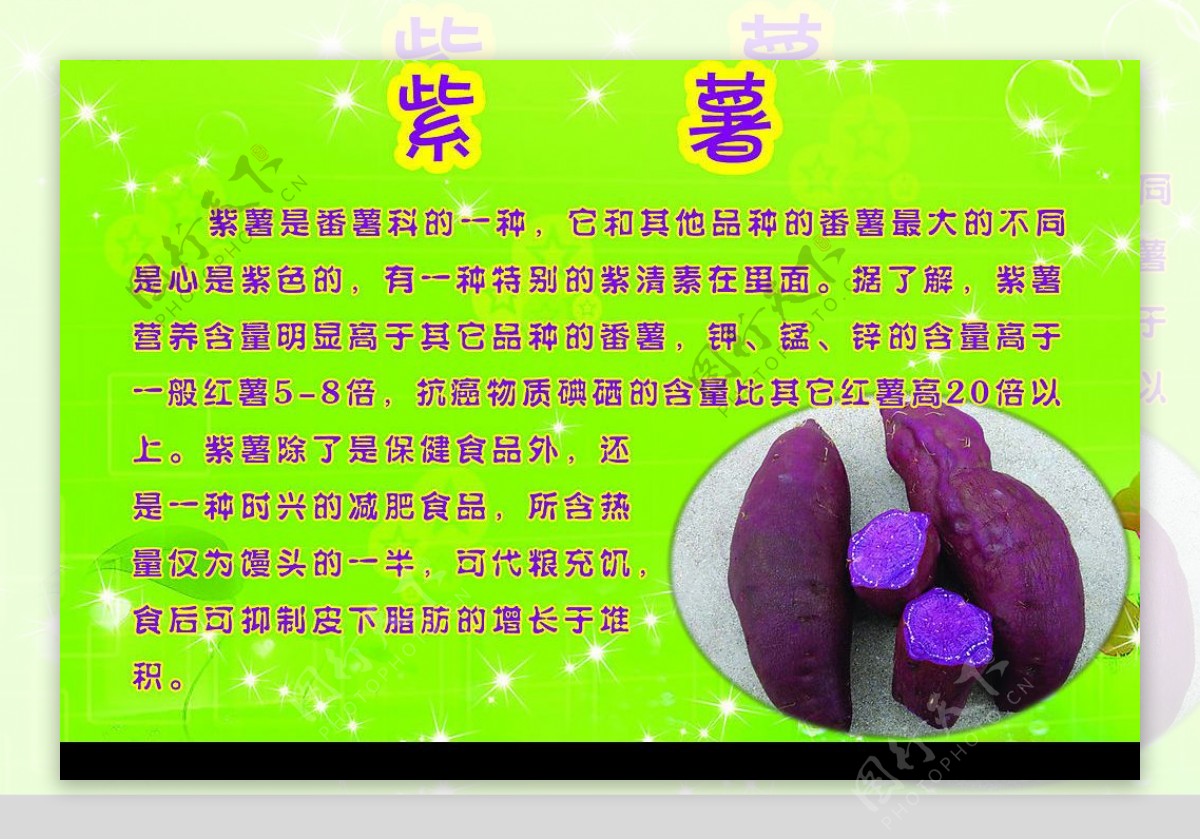 紫心番薯图片