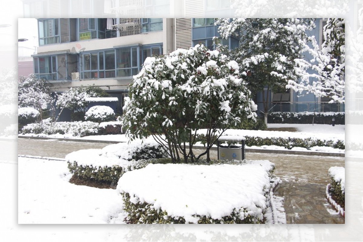 雪景图片