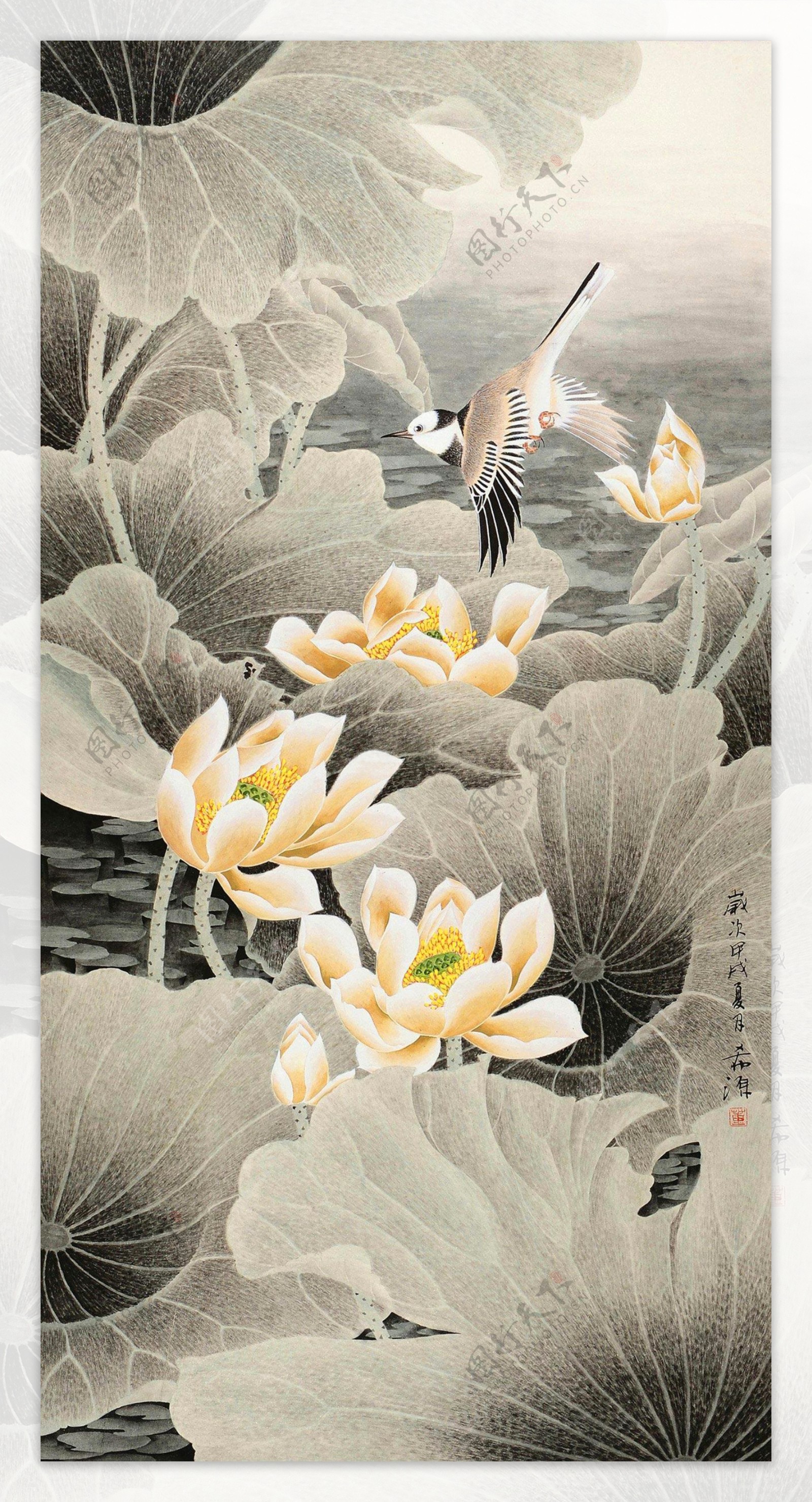 荷塘飞鸟图片