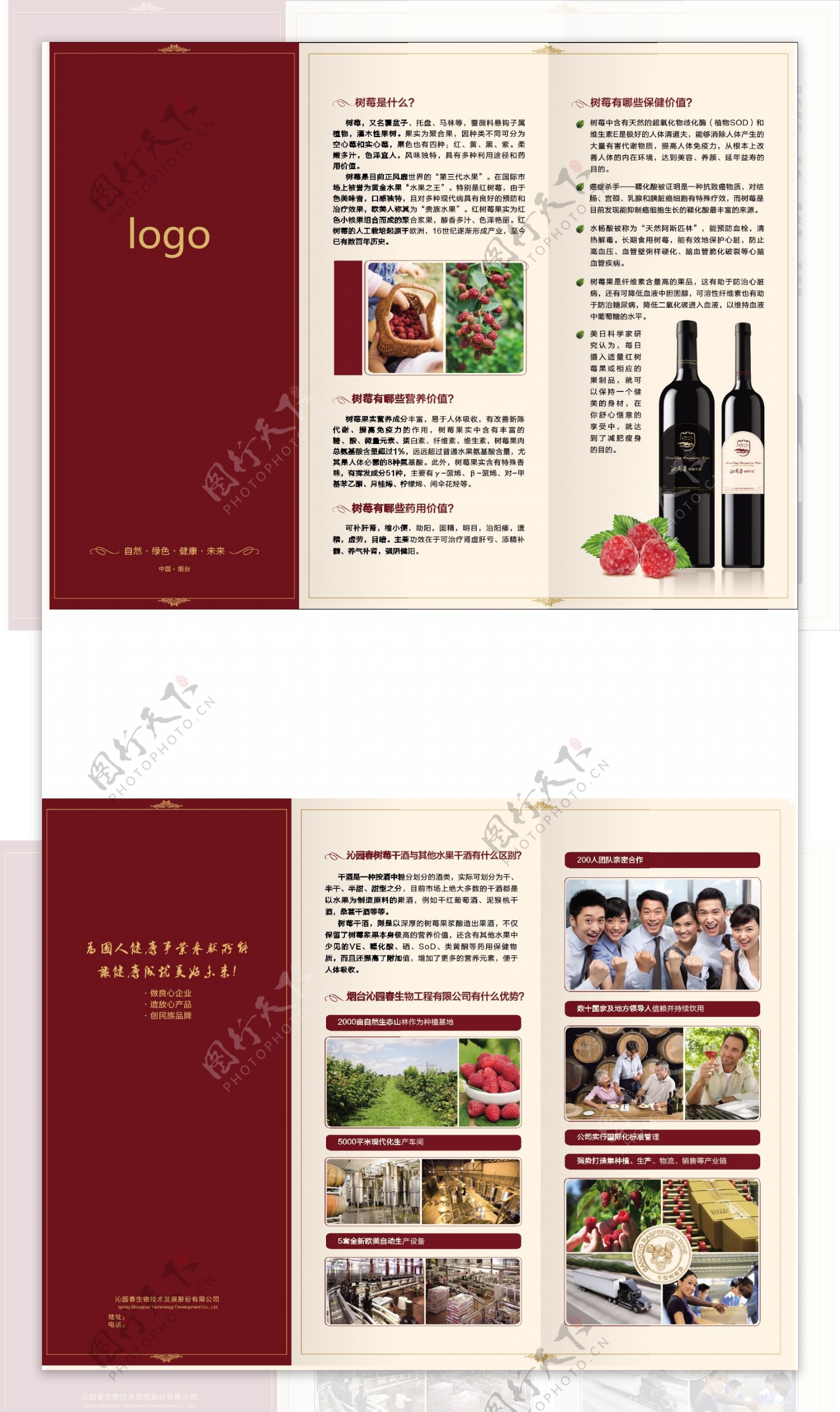 树莓酒折页图片