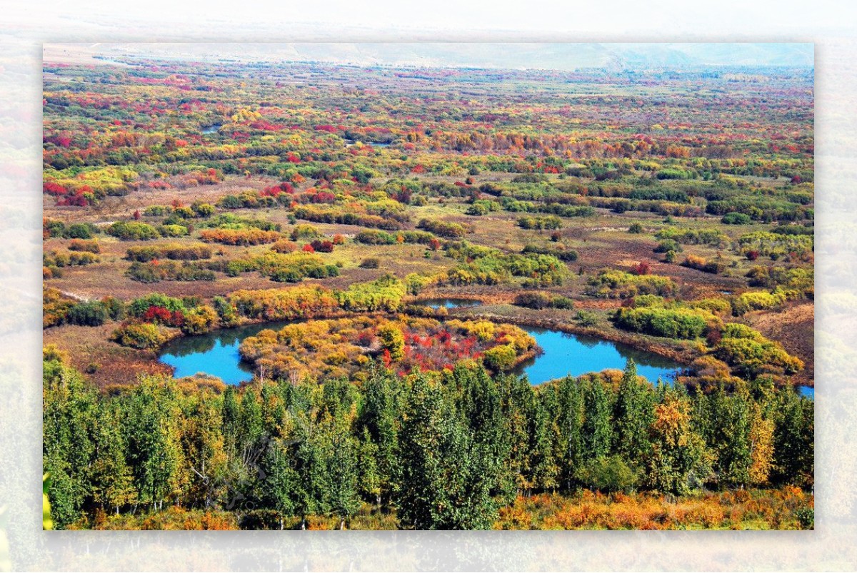 额尔古纳湿地公园秋景图片