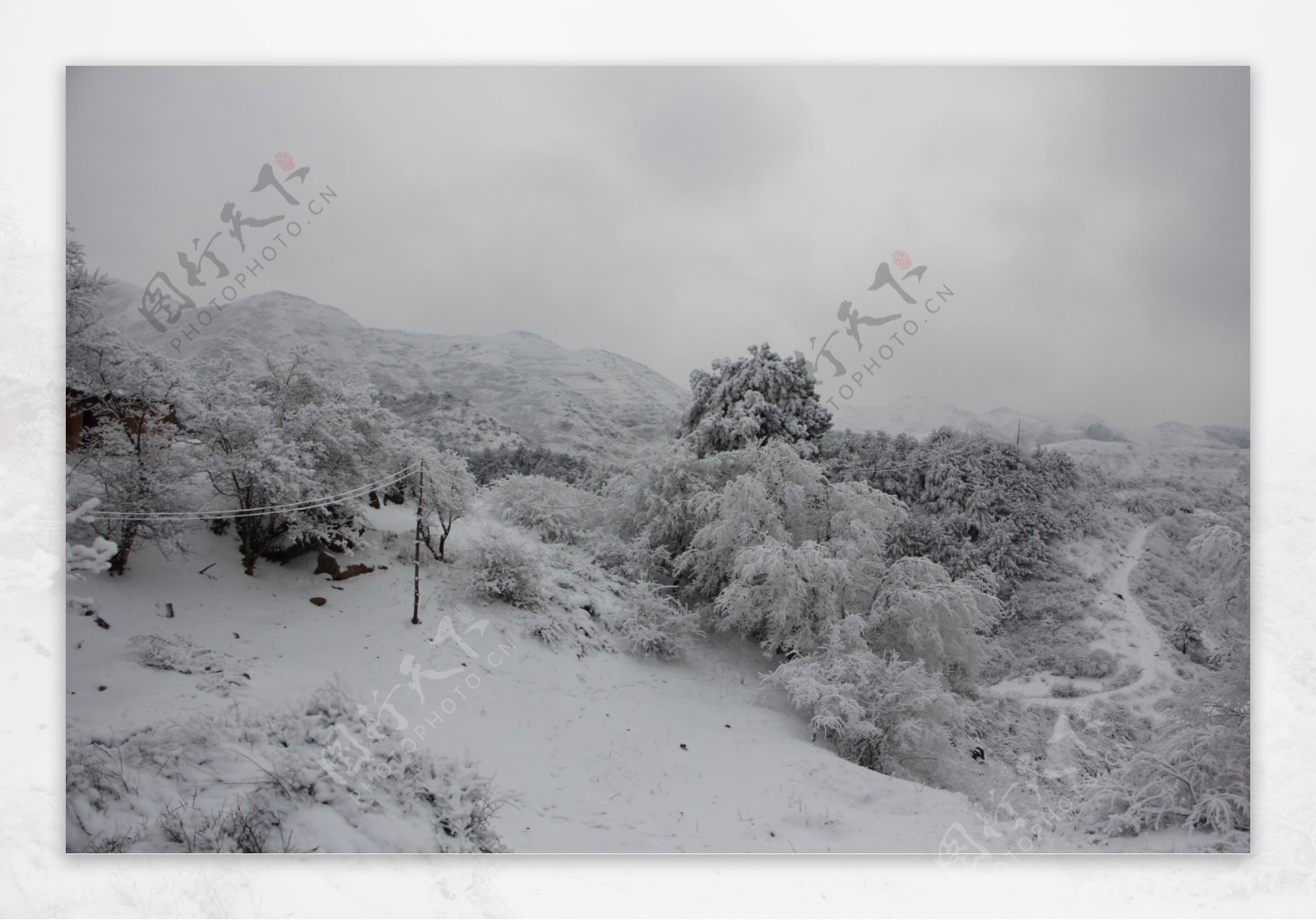 雪景图片