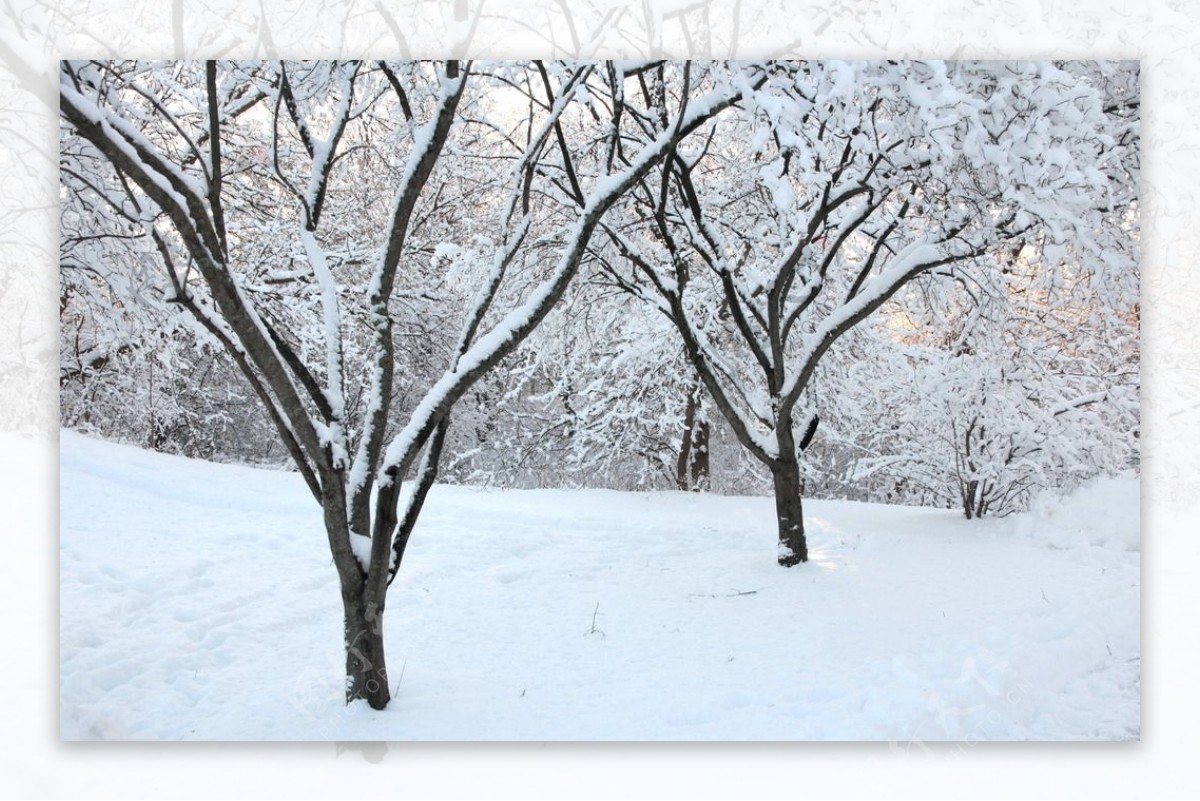 雪景图片