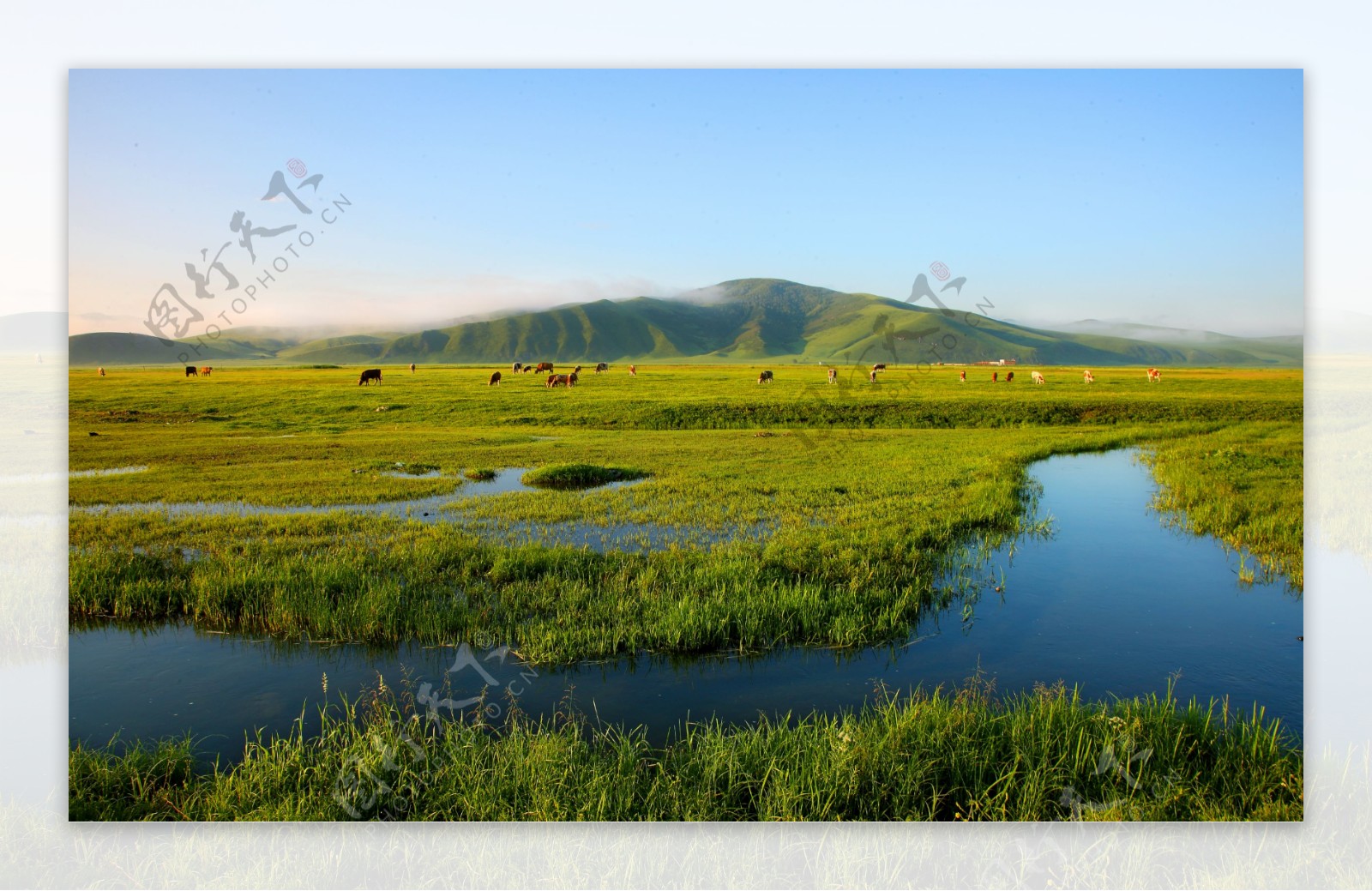 科尔沁草原河流图片