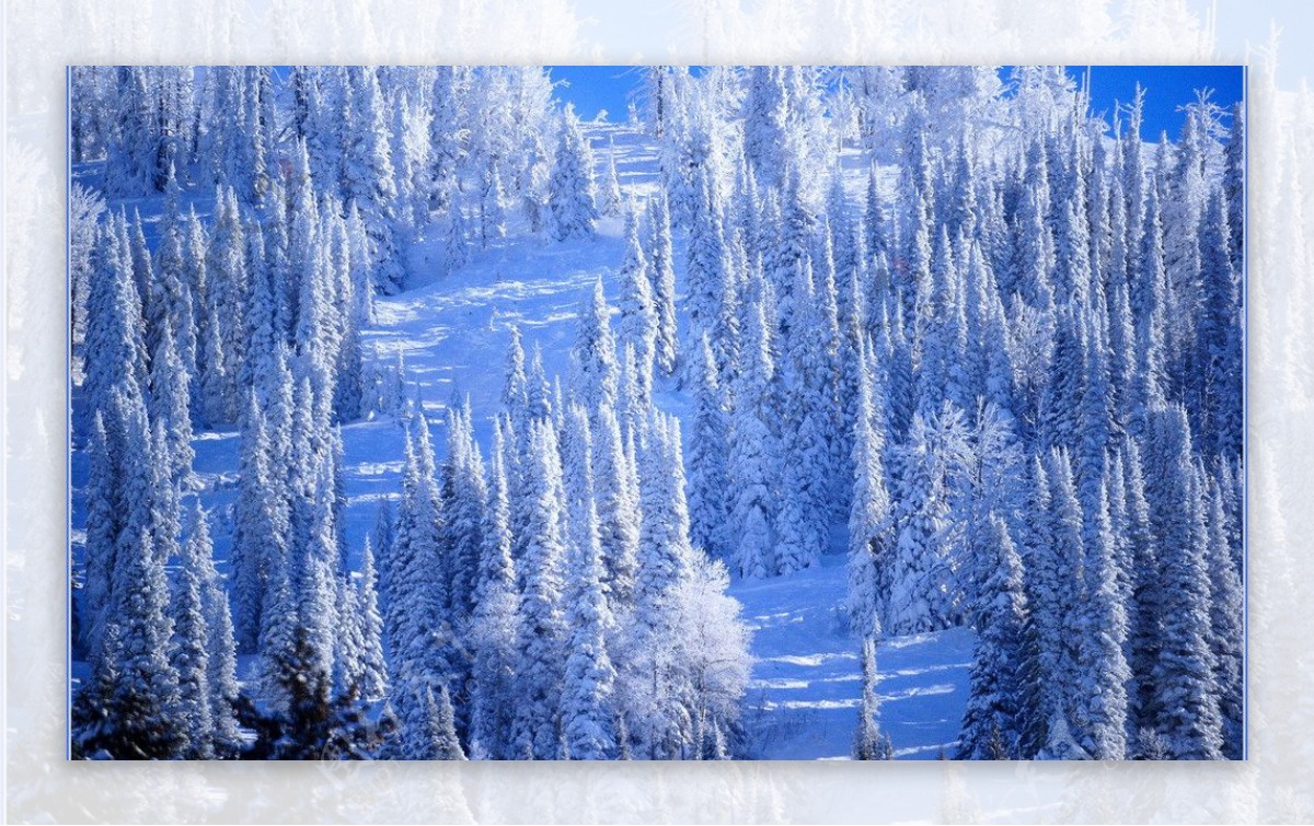 雪景图片