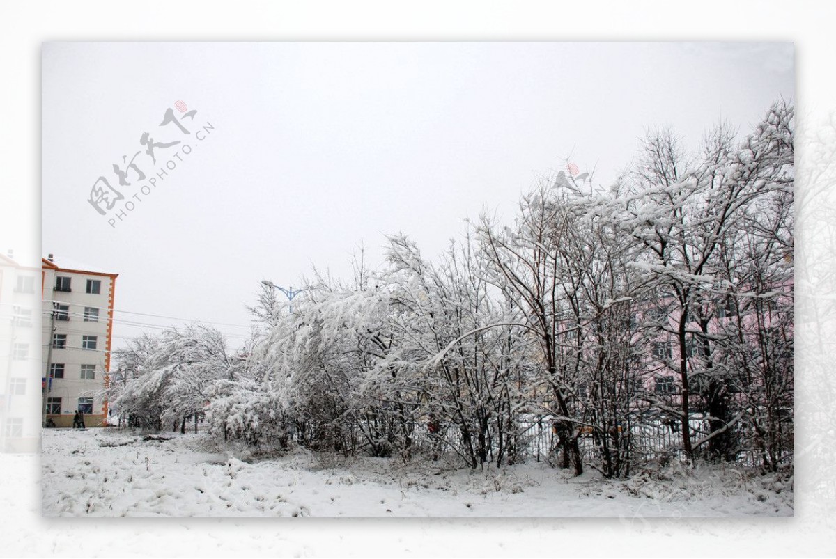 统建楼家前面雪景图片