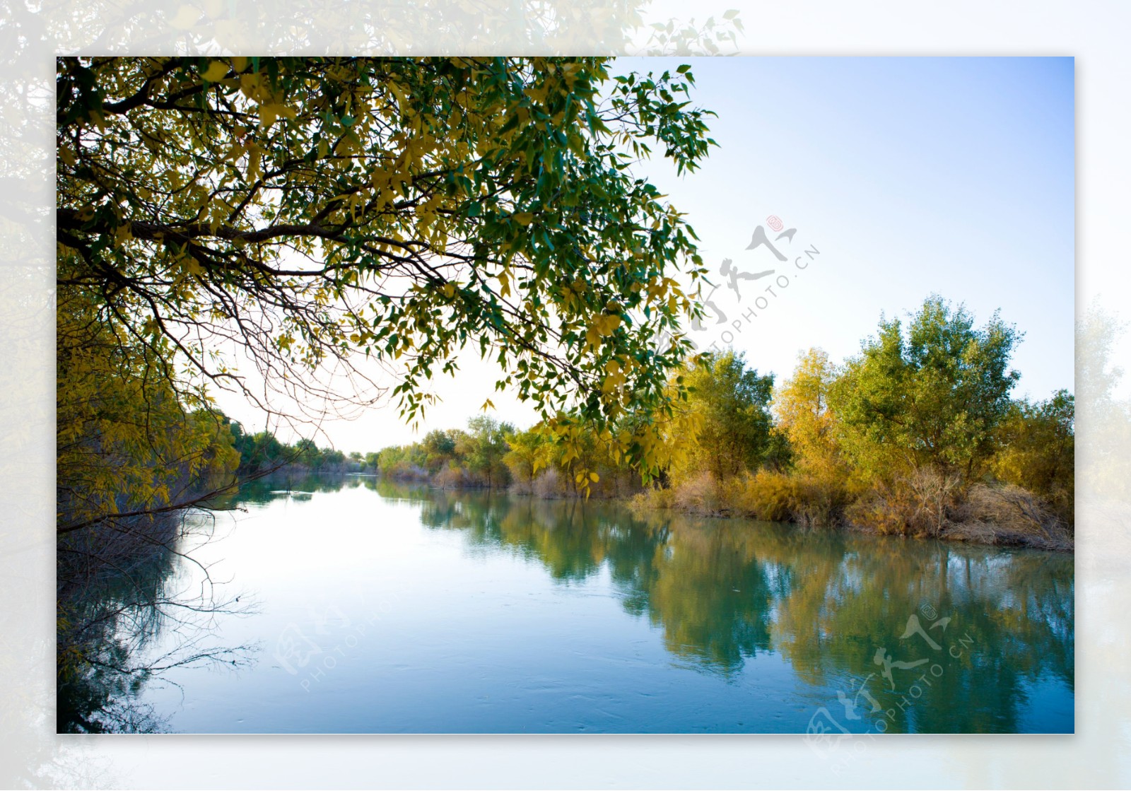 塔里木河风景图片