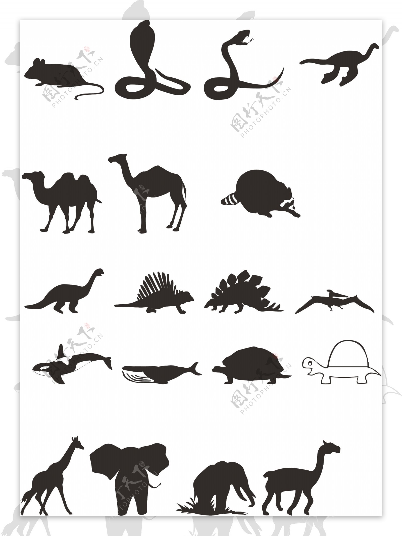 眼镜蛇蛇骆驼恐龙大象图片