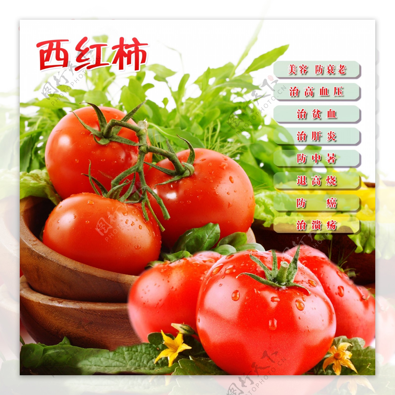 西红柿的营养价值图片
