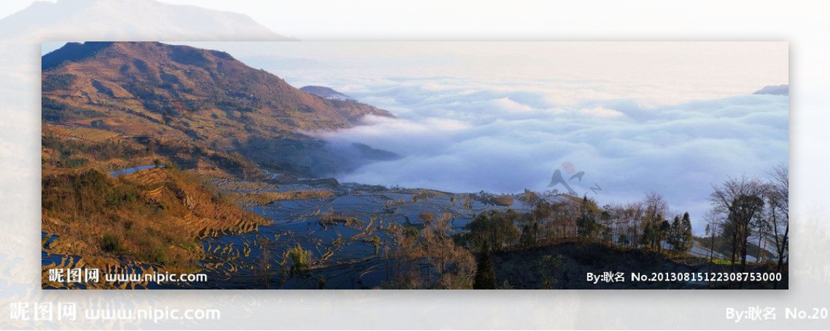 山下梯田美丽风景图片