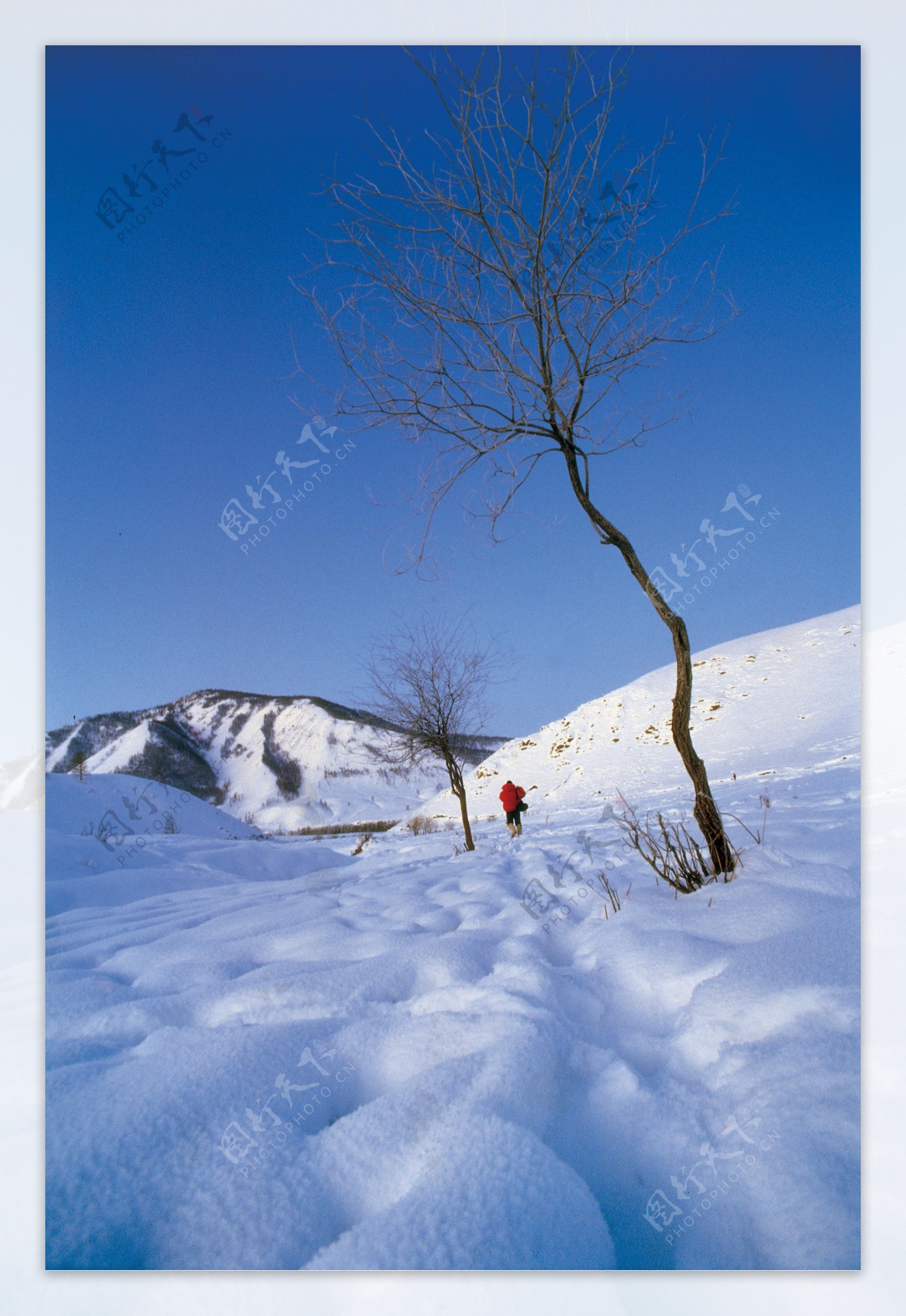 雪山图片