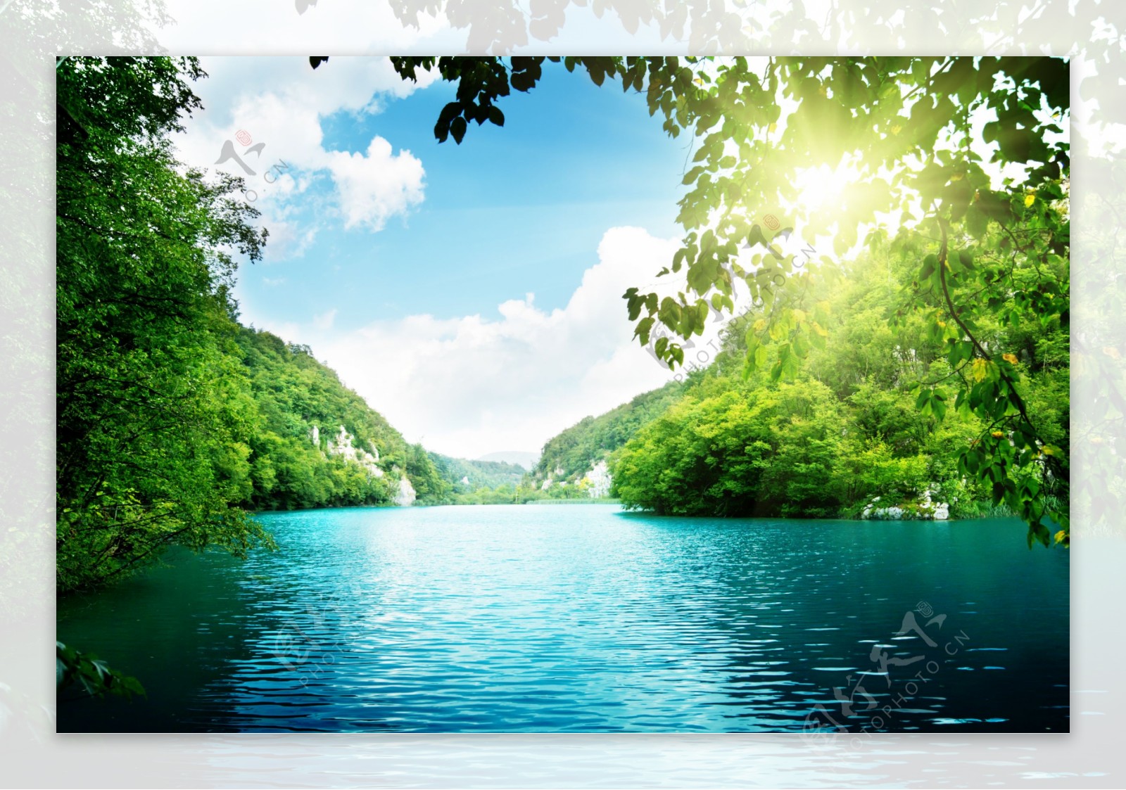 阳光森林湖泊图片
