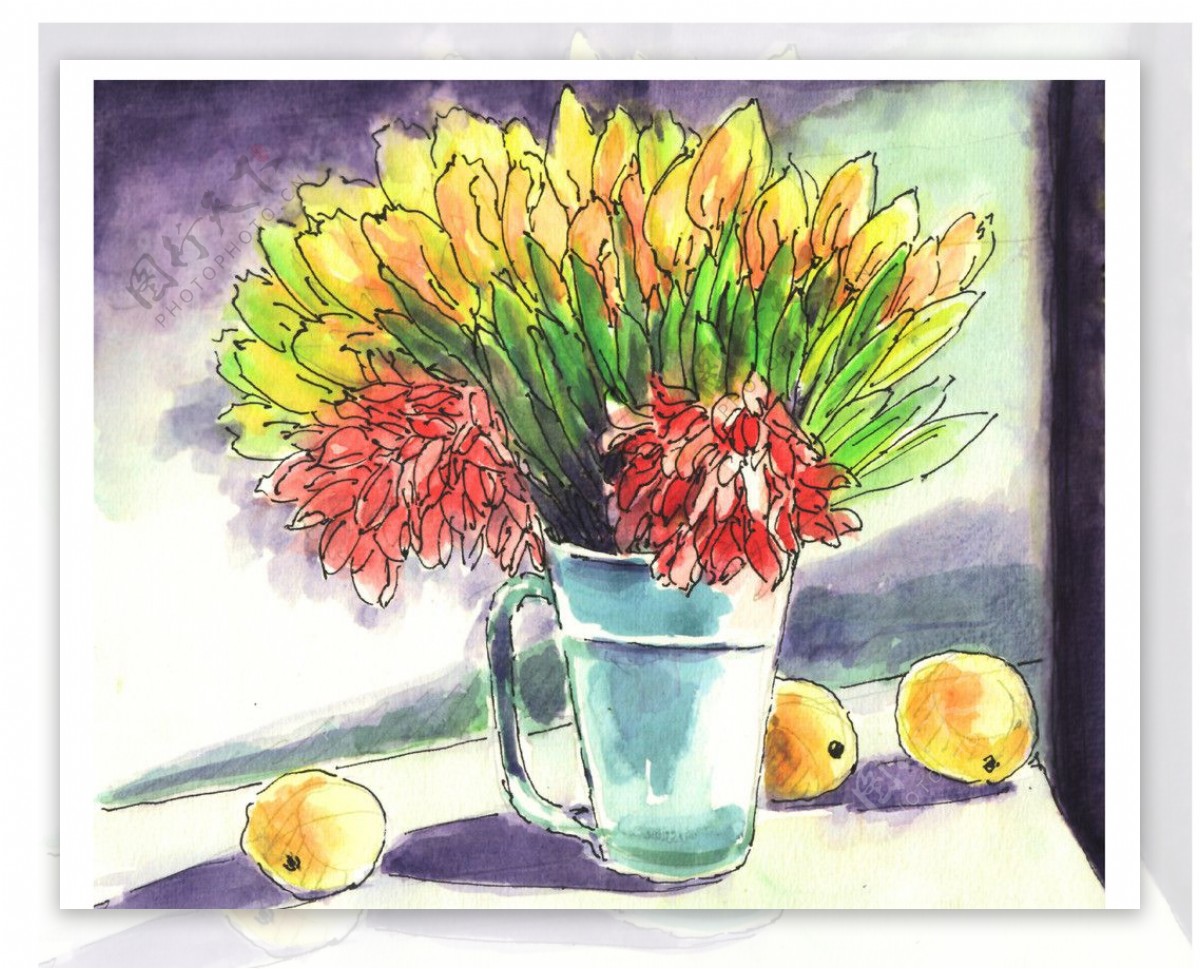 钢笔淡彩瓶花和橙子图片