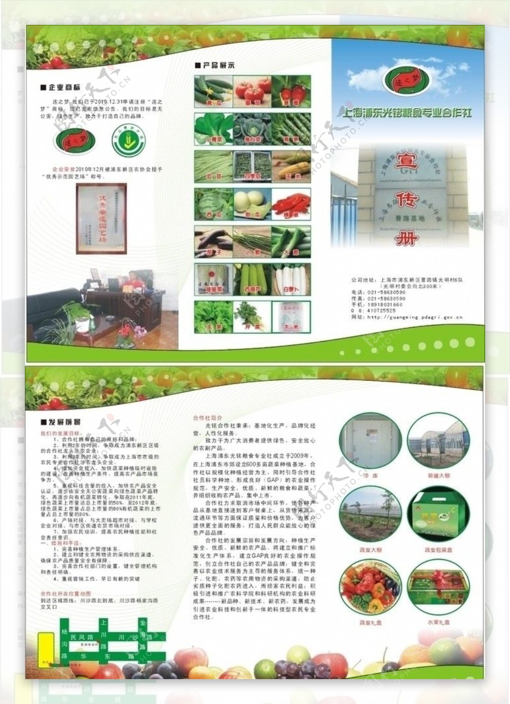 蔬菜合作社彩页图片