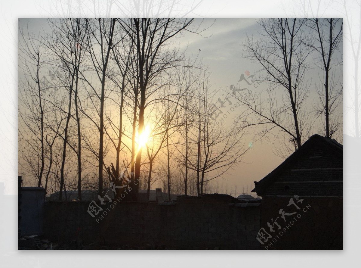 夕阳树影村庄图片