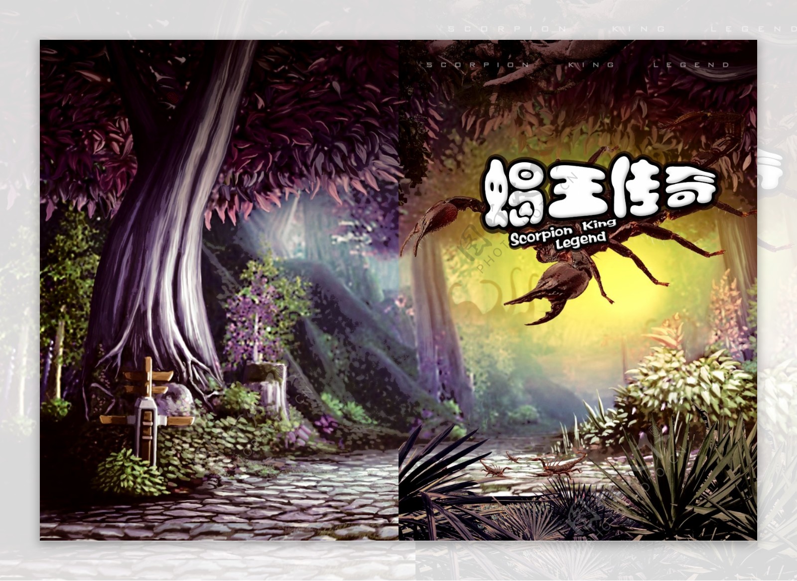 蝎王传奇小说封面设计图片