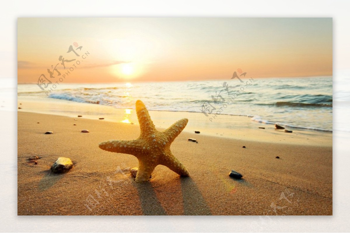 沙滩 海星 4K专区壁纸(风景静态壁纸) - 静态壁纸下载 - 元气壁纸