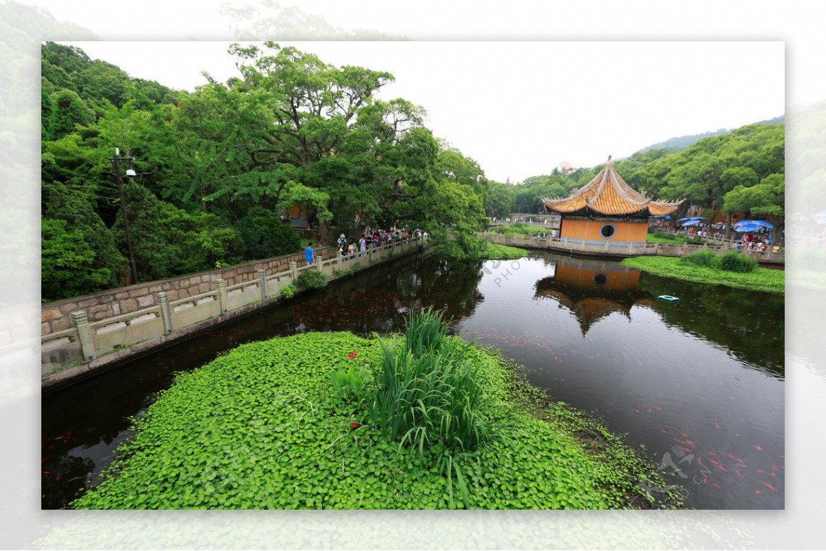 普陀山普济禅寺图片