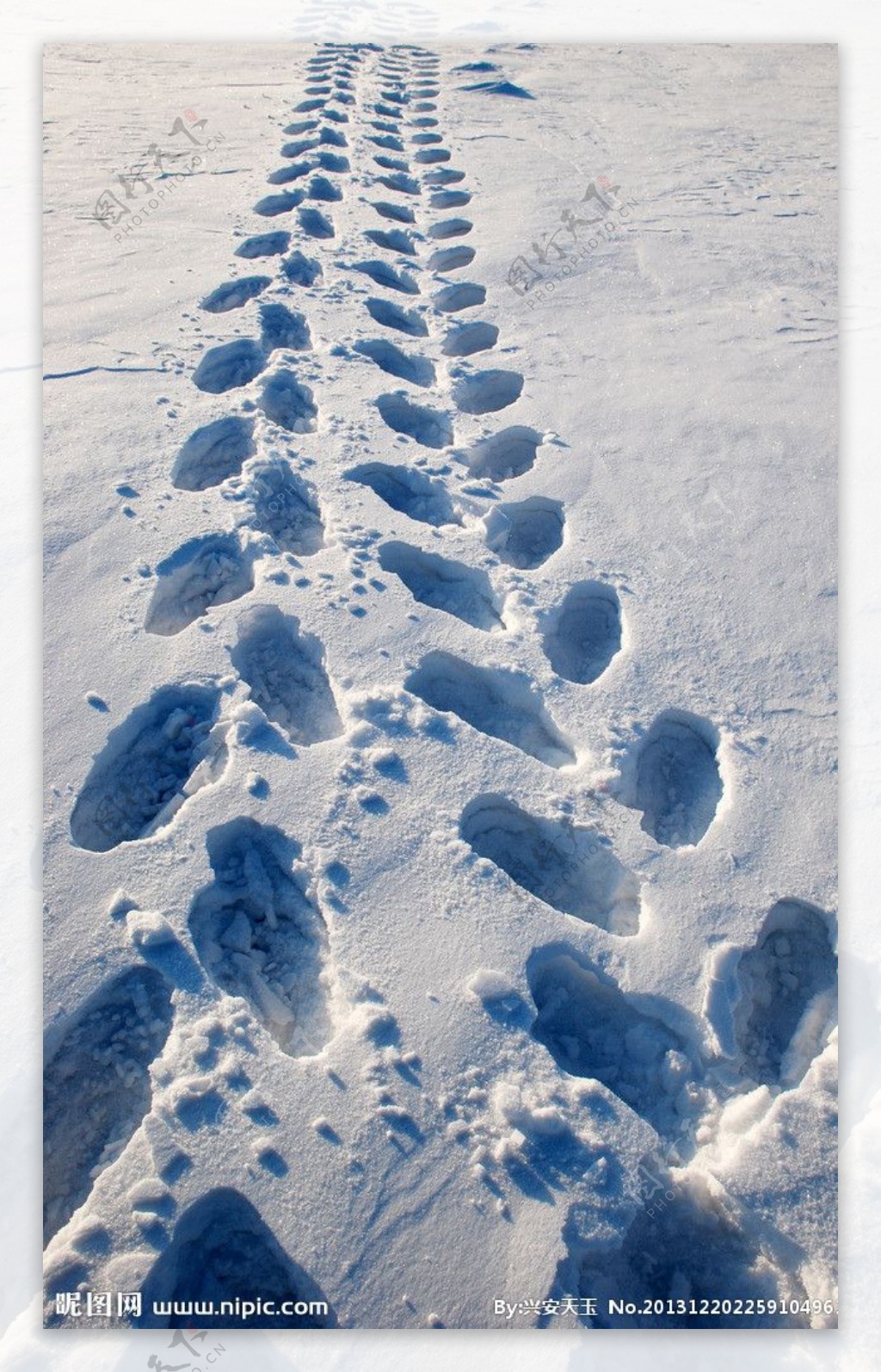 冬天雪地脚印图片