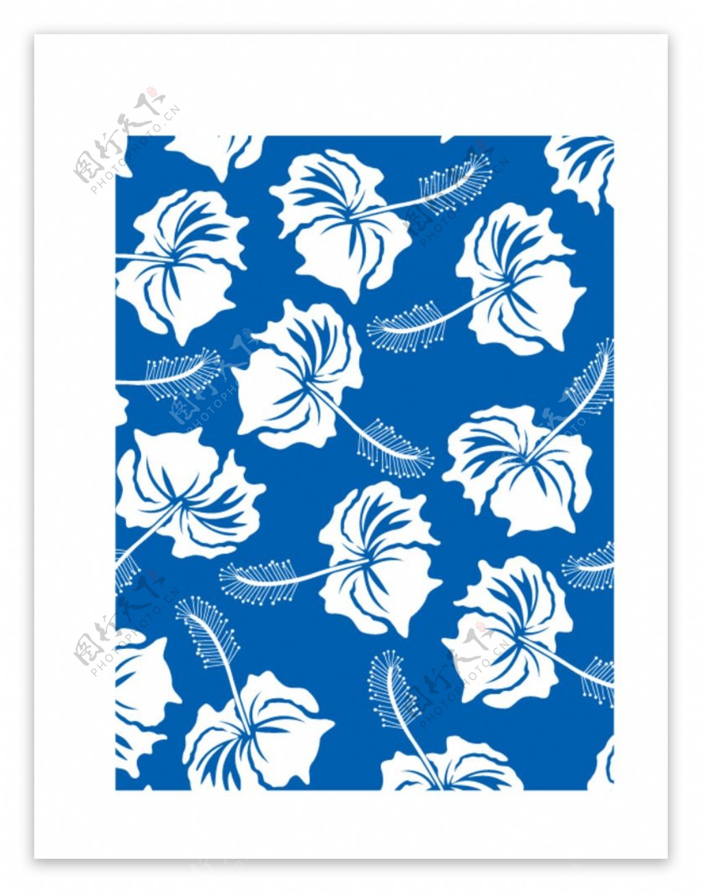 蓝色花纹背景椰树花纹面料图片